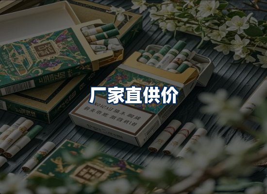 专业团队办公环境